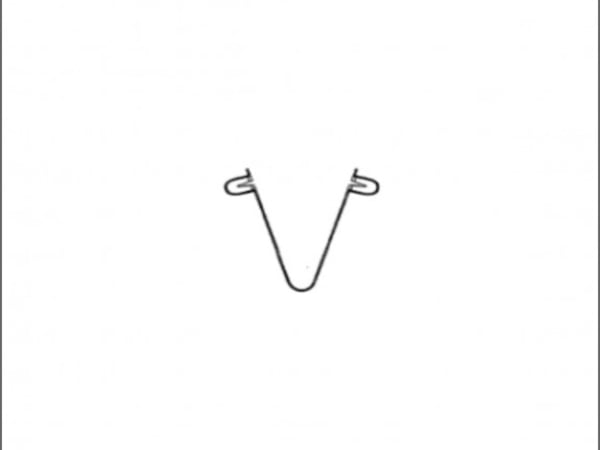 Spring Pin
