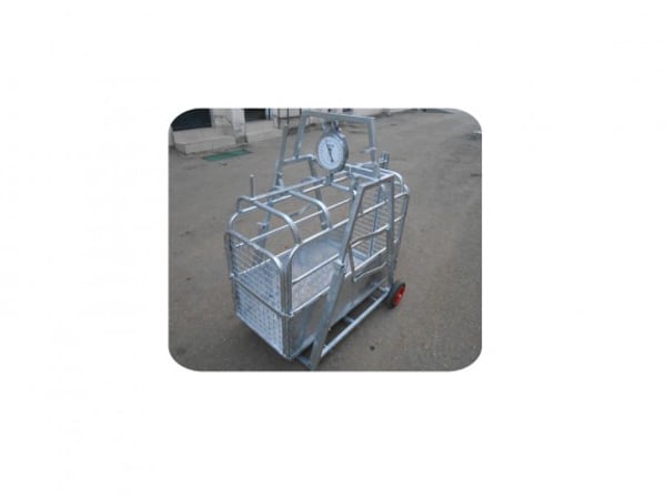 Weighing Scales